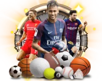 Dhani Win Sports Betting